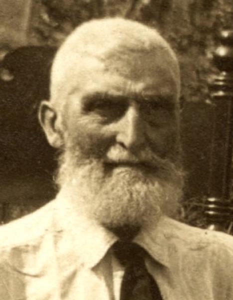 Henry Hayes, 1836-1916