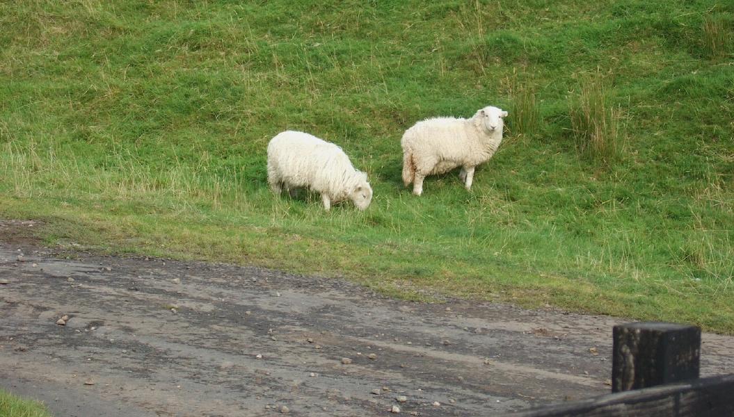 Muirkirk, Ayrshire