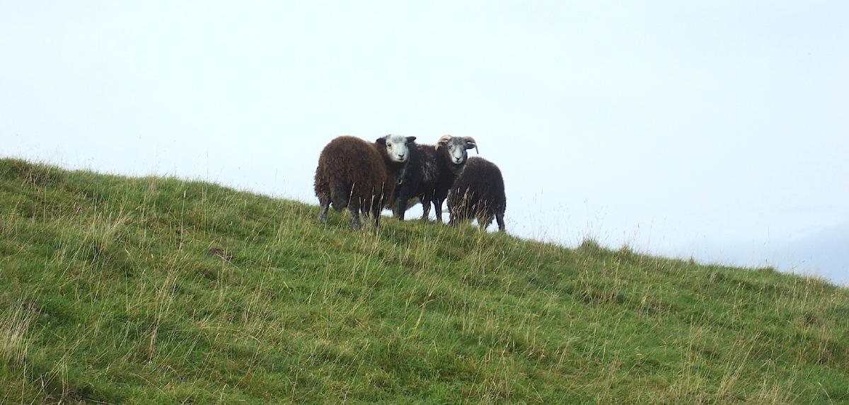 Muirkirk, Ayrshire