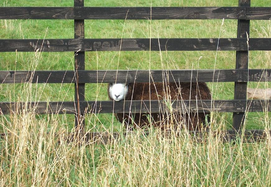 Muirkirk, Ayrshire