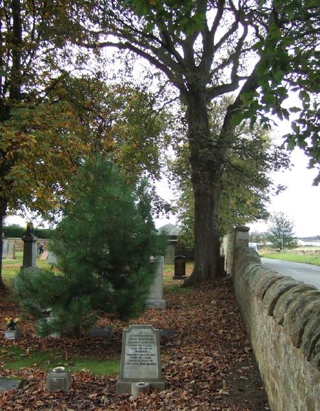 Newton Parish Kirkyard, Midlothian