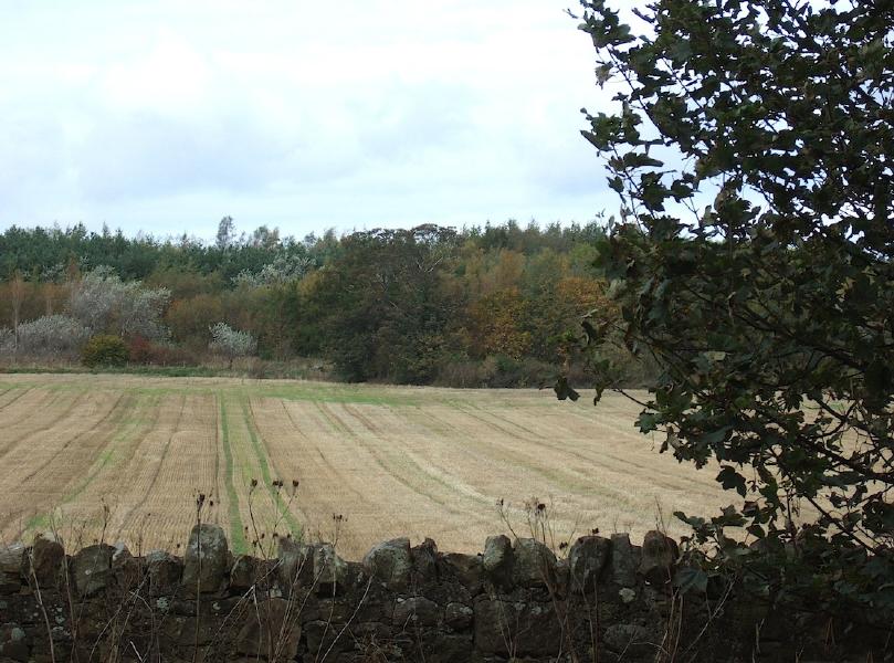 Leaving Newton Parish Kirk, Midlothian