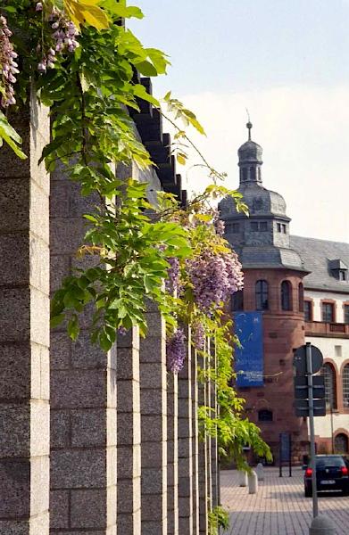 Historisches Museum der Pfalz Speyer, Mai 2004
