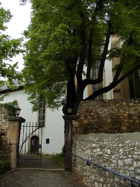 Mariä Himmelfahrt, die katholische Kirche von Undenheim, Mai 2004