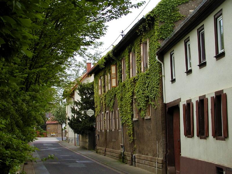 St Alban Hof, Tränkgasse 4, Undenheim, Mai 2004