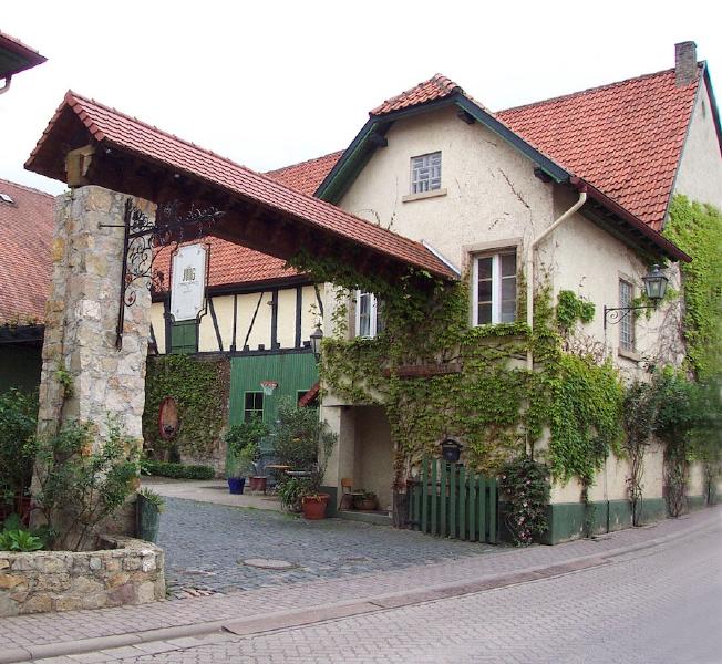 Weingut Junghof, Undenheim, Mai 2004