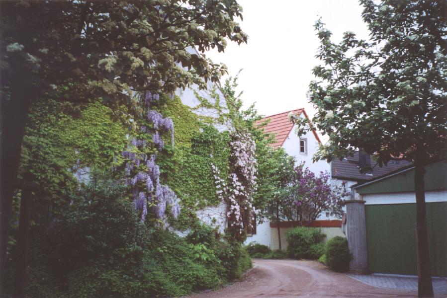 Undenheim, Mai 2004