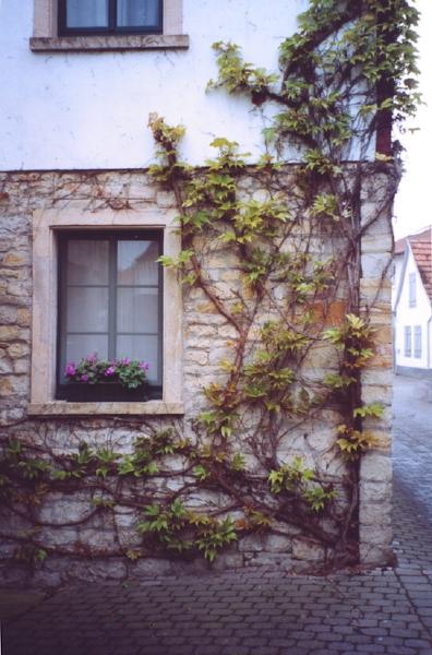 Undenheim, Mai 2004
