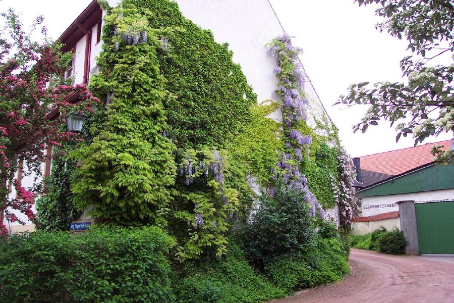 Undenheim, Mai 2004
